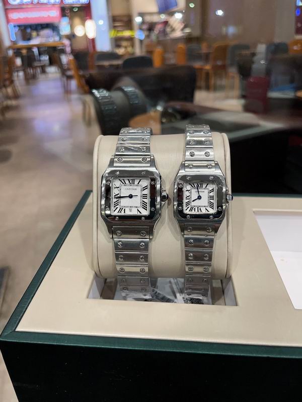 Cartier M31X41mm S26X35mm 01 (20)