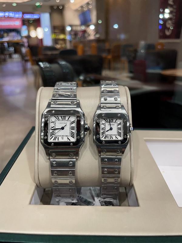 Cartier M31X41mm S26X35mm 01 (21)