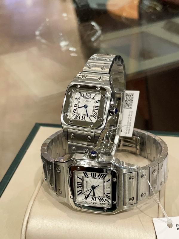 Cartier M31X41mm S26X35mm 01 (22)