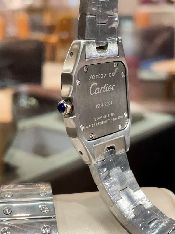 Cartier M31X41mm S26X35mm 01 (23)
