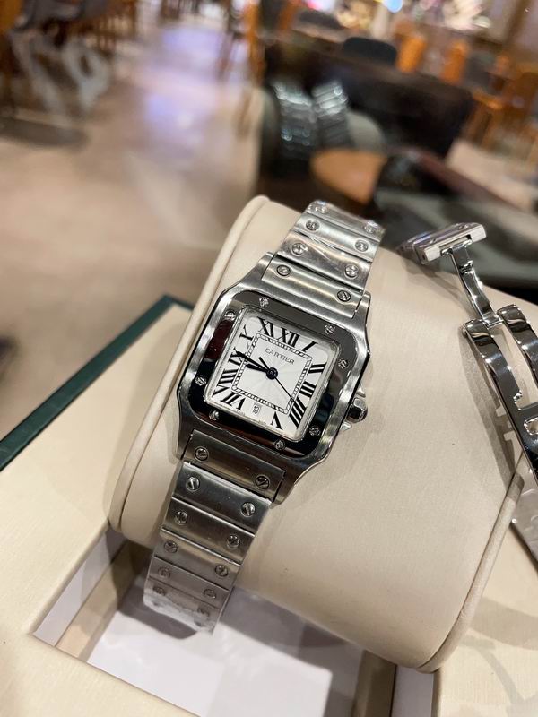 Cartier M31X41mm S26X35mm 01 (24)
