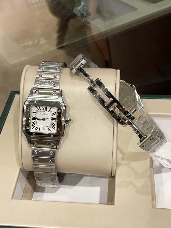 Cartier M31X41mm S26X35mm 01 (25)