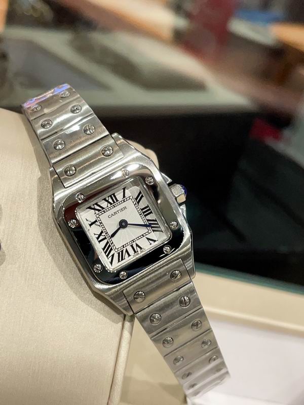Cartier M31X41mm S26X35mm 01 (26)