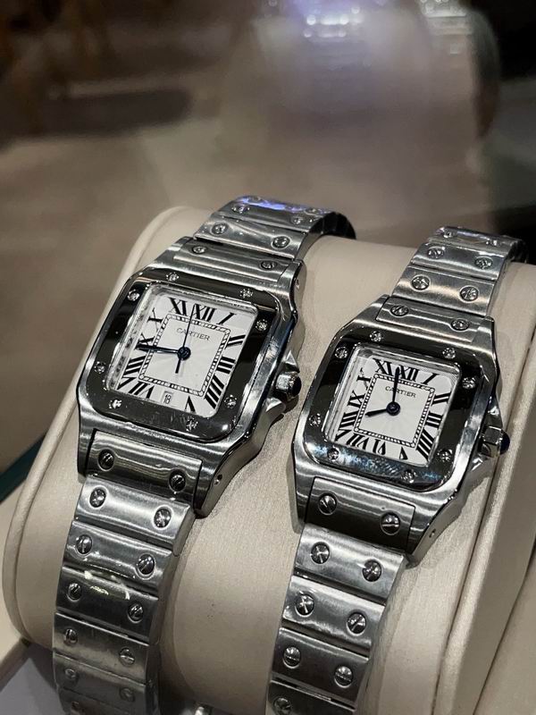 Cartier M31X41mm S26X35mm 01 (27)
