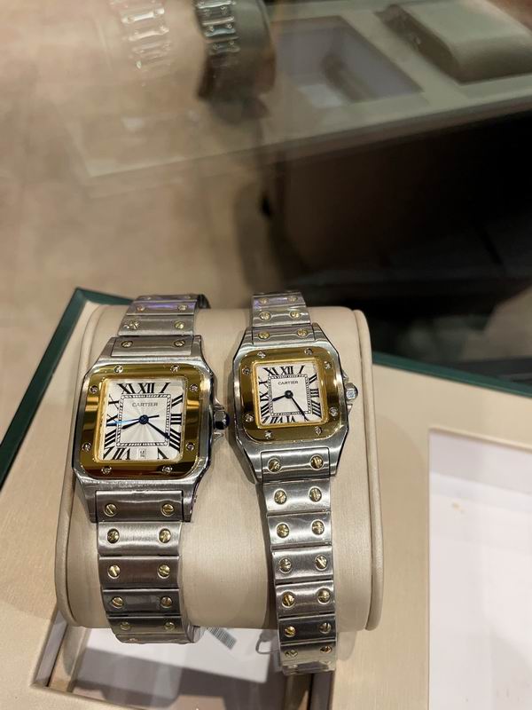 Cartier M31X41mm S26X35mm 01 (4)