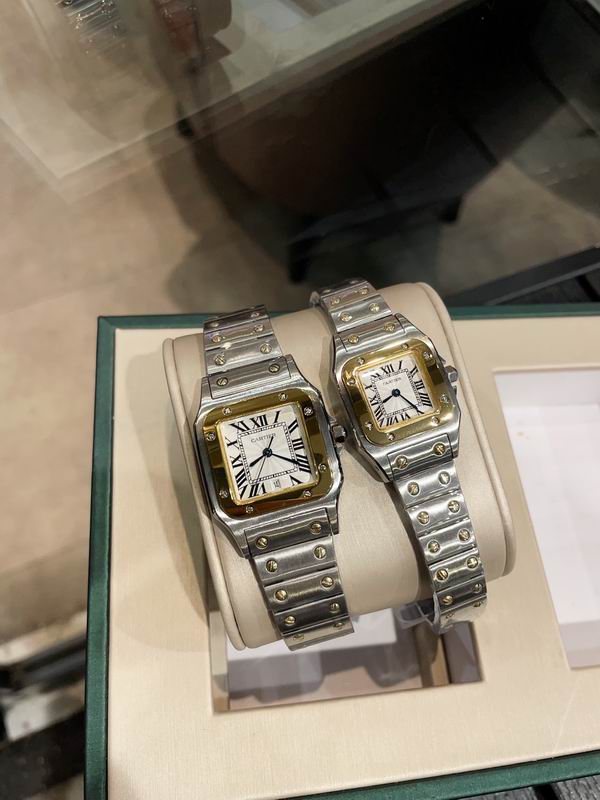Cartier M31X41mm S26X35mm 01 (5)