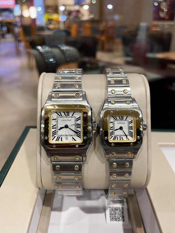 Cartier M31X41mm S26X35mm 01 (6)