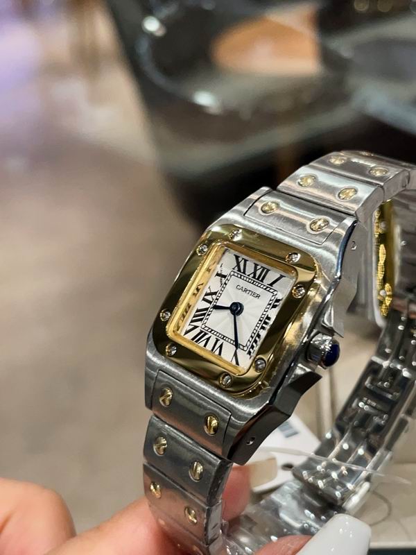 Cartier M31X41mm S26X35mm 01 (7)