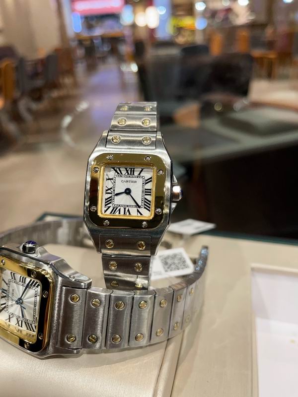 Cartier M31X41mm S26X35mm 01 (8)