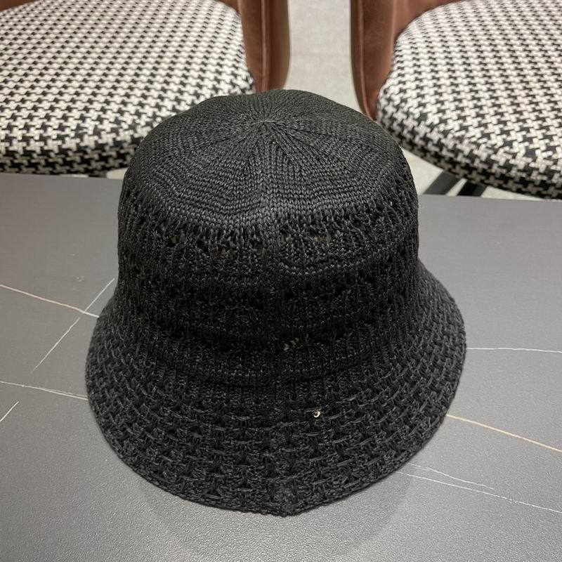 Celine hat (143)