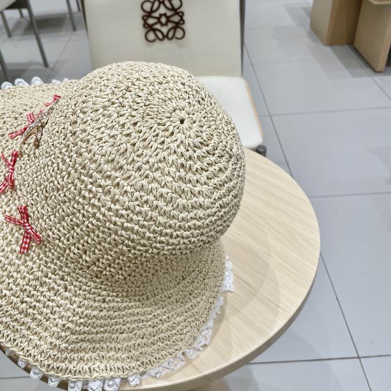 Celine hat (238)