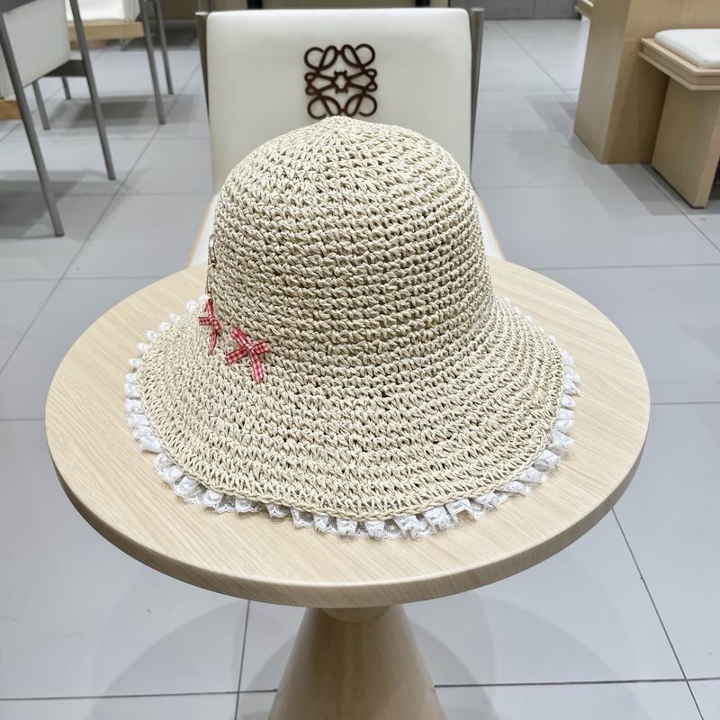 Celine hat (239)