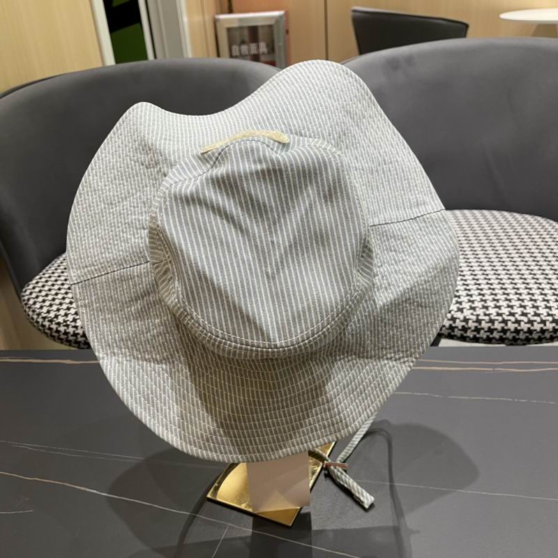 Celine hat (246)