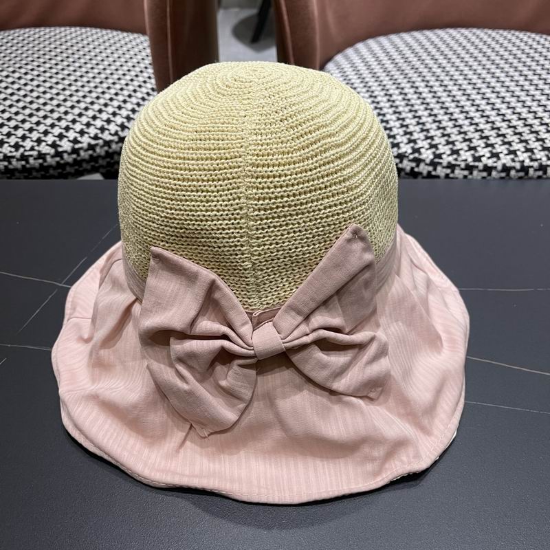 Celine hat (257)