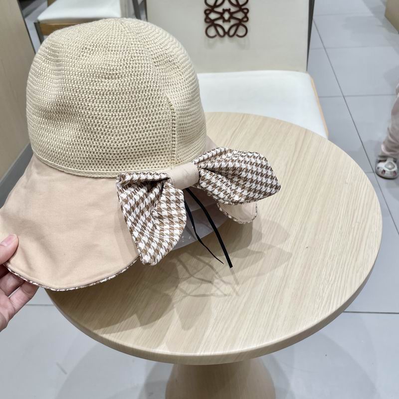 Celine hat (55)