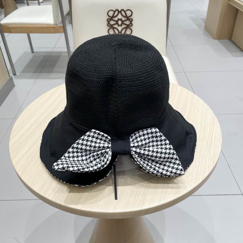 Celine hat (71)