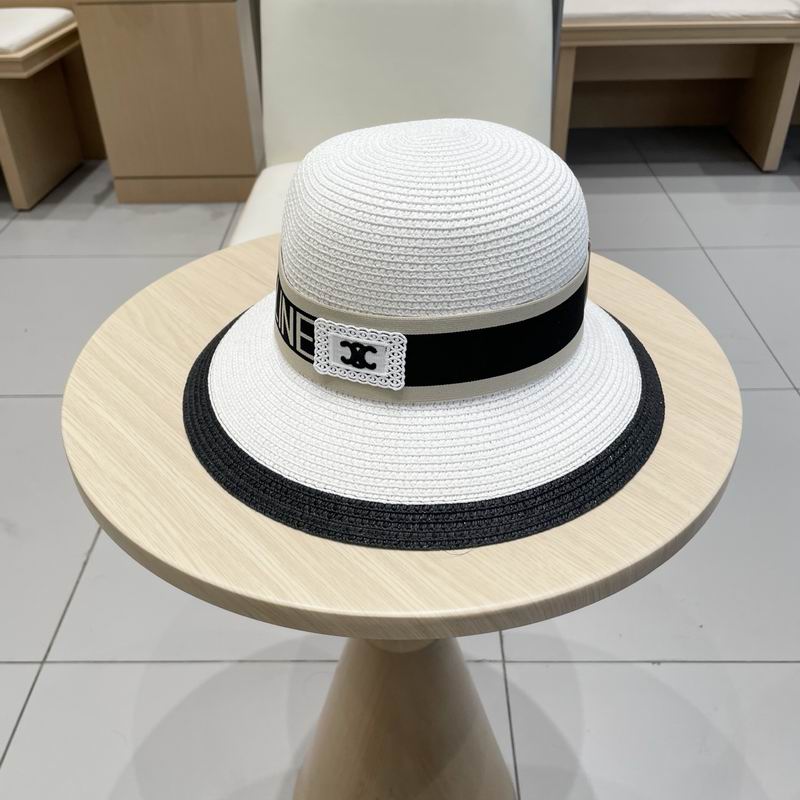 Celine top hat (343)