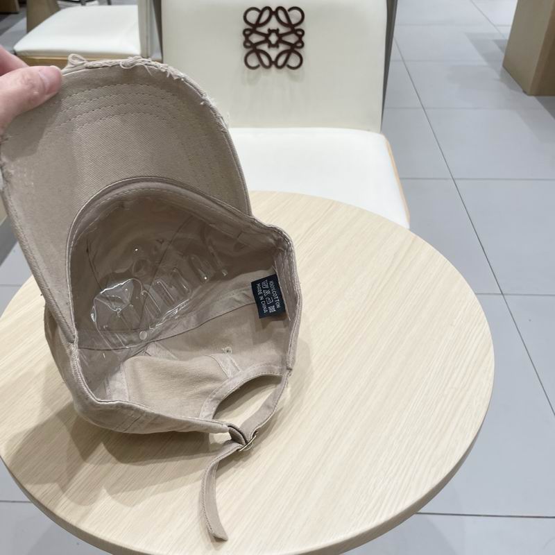 Chrome Hearts cap (100)