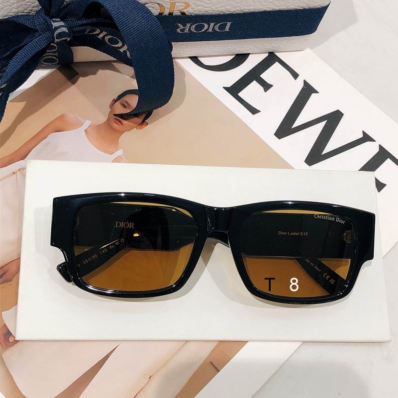 Dior Ladel S1F 55 20  H01