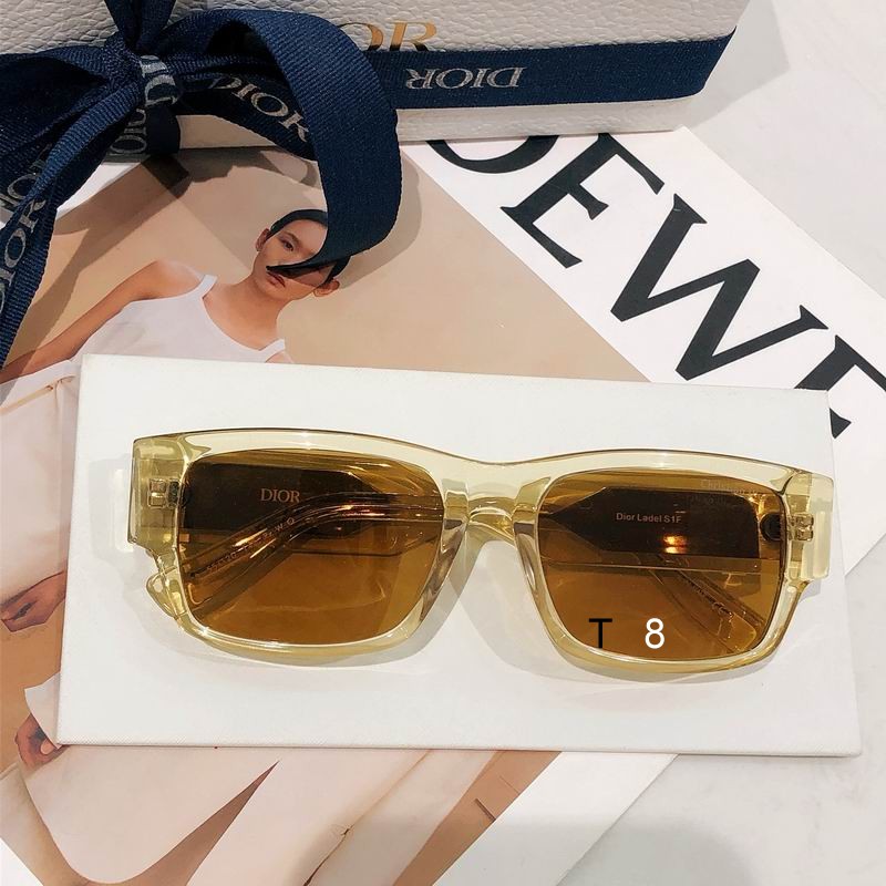 Dior Ladel S1F 55 20  H06