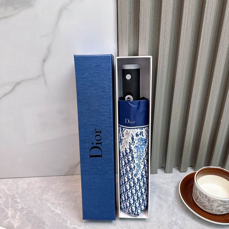 Dior Umbrella (45)