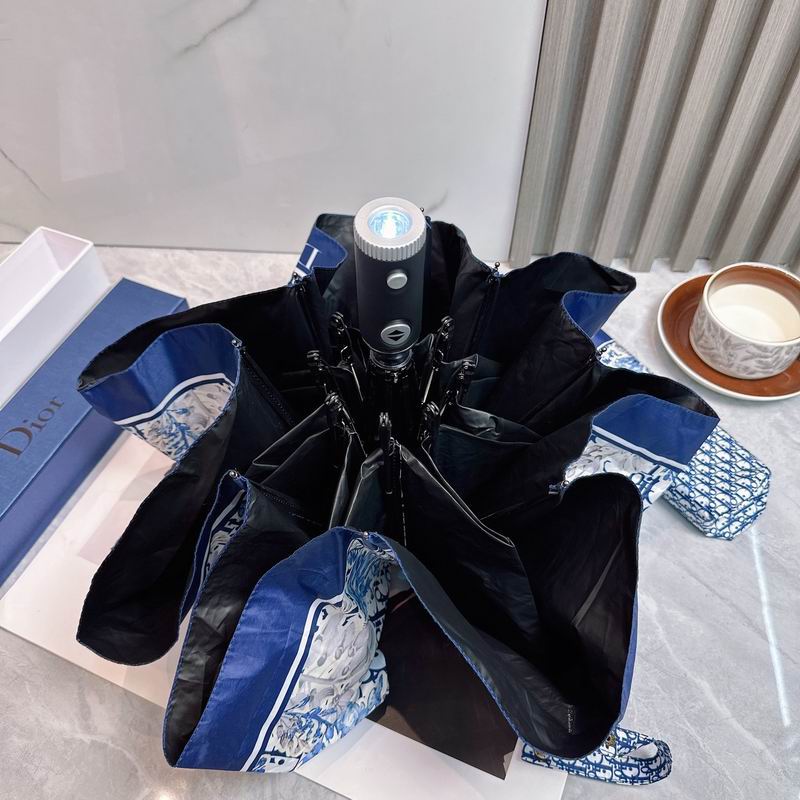 Dior Umbrella (49)