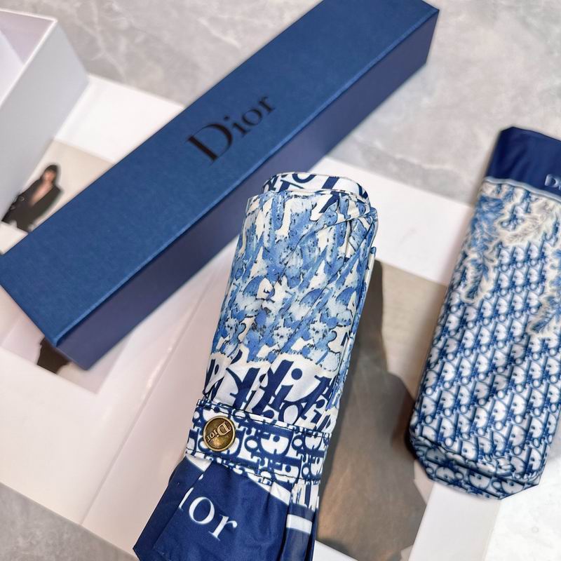 Dior Umbrella (51)
