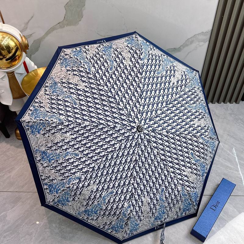 Dior Umbrella (53)