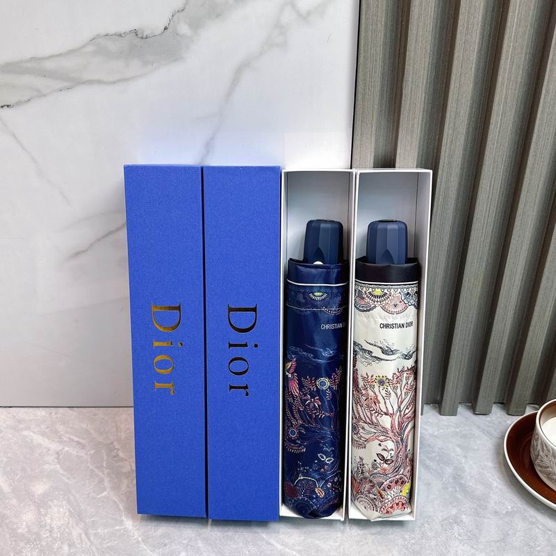 Dior Umbrella hm (34)