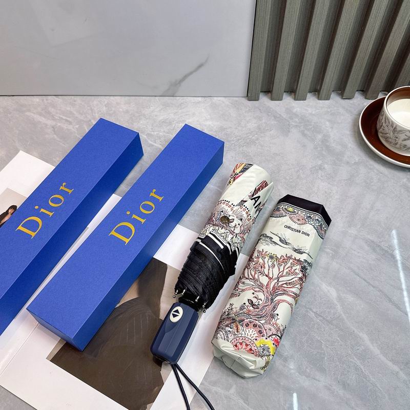 Dior Umbrella hm (35)