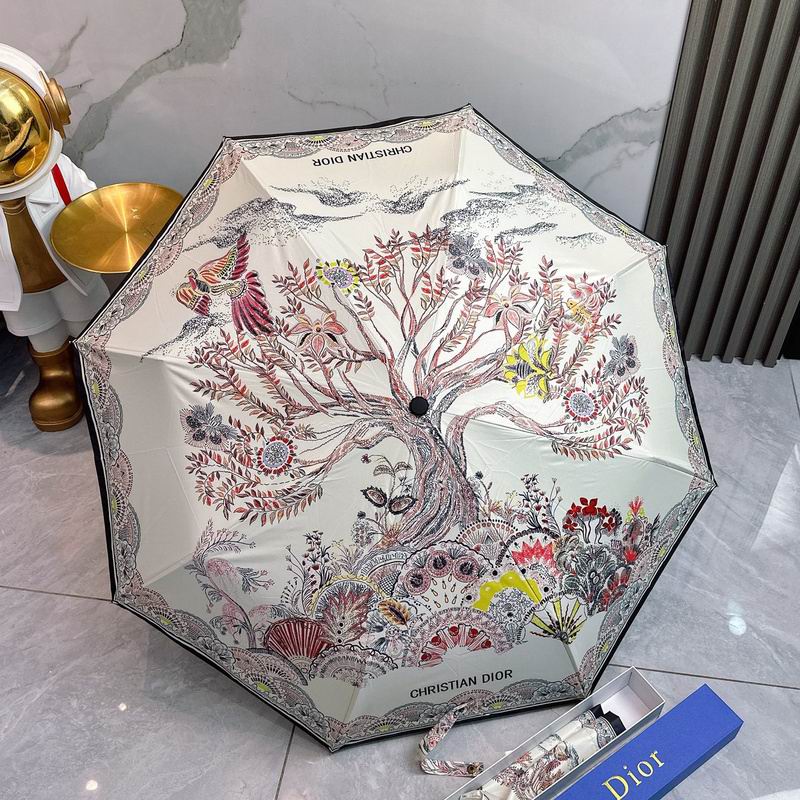 Dior Umbrella hm (37)