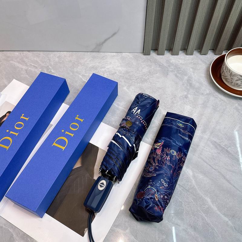 Dior Umbrella hm (38)