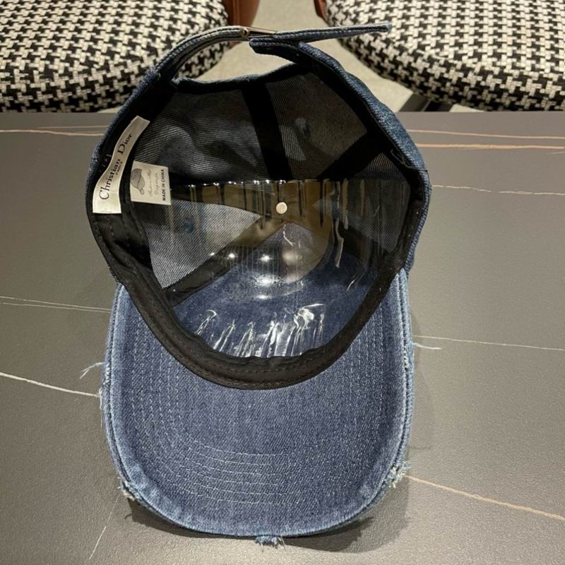 Dior cap (100)