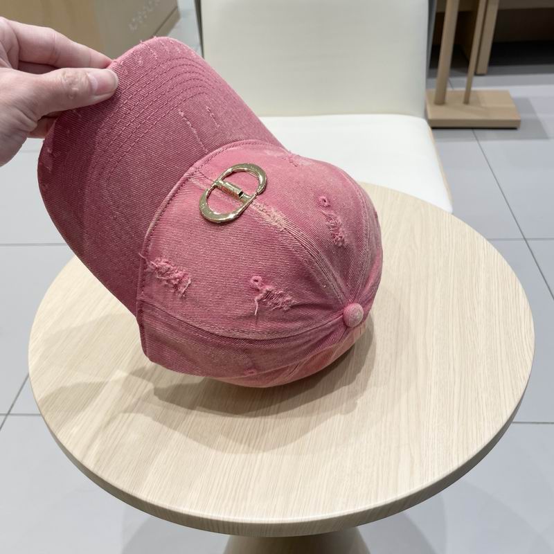 Dior cap (103)