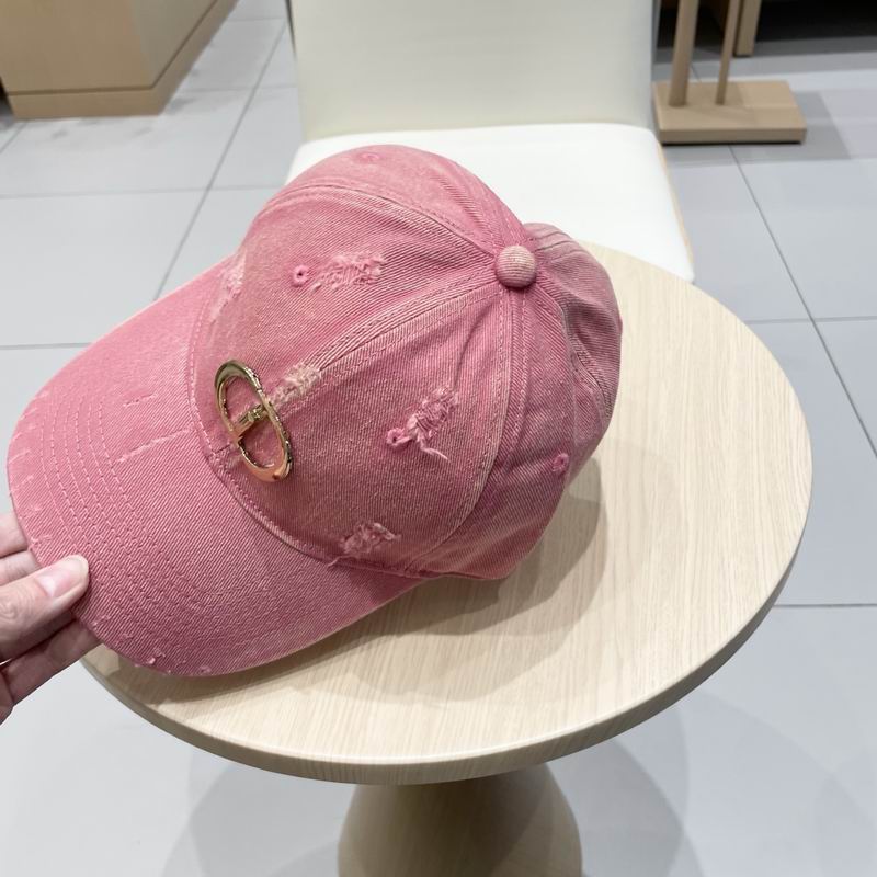 Dior cap (104)