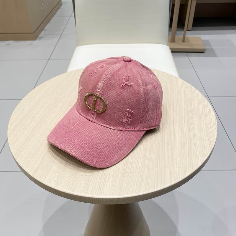 Dior cap (108)