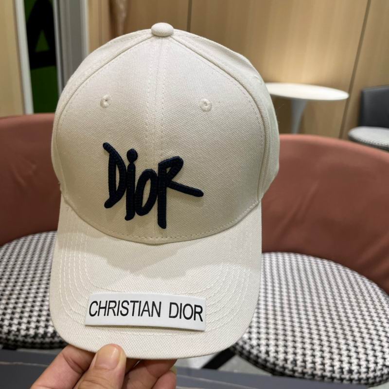 Dior cap (137)