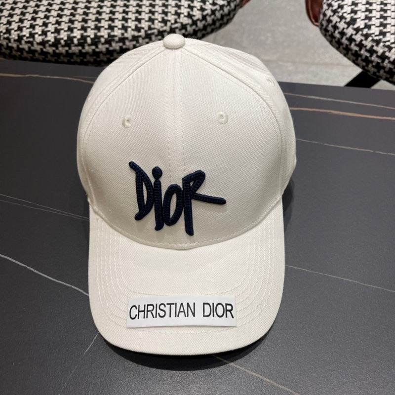 Dior cap (141)