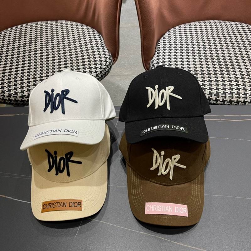 Dior cap (142)
