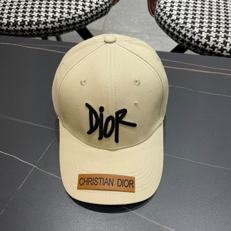 Dior cap (152)