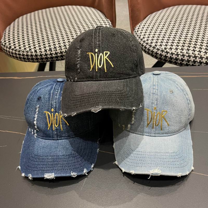 Dior cap (176)