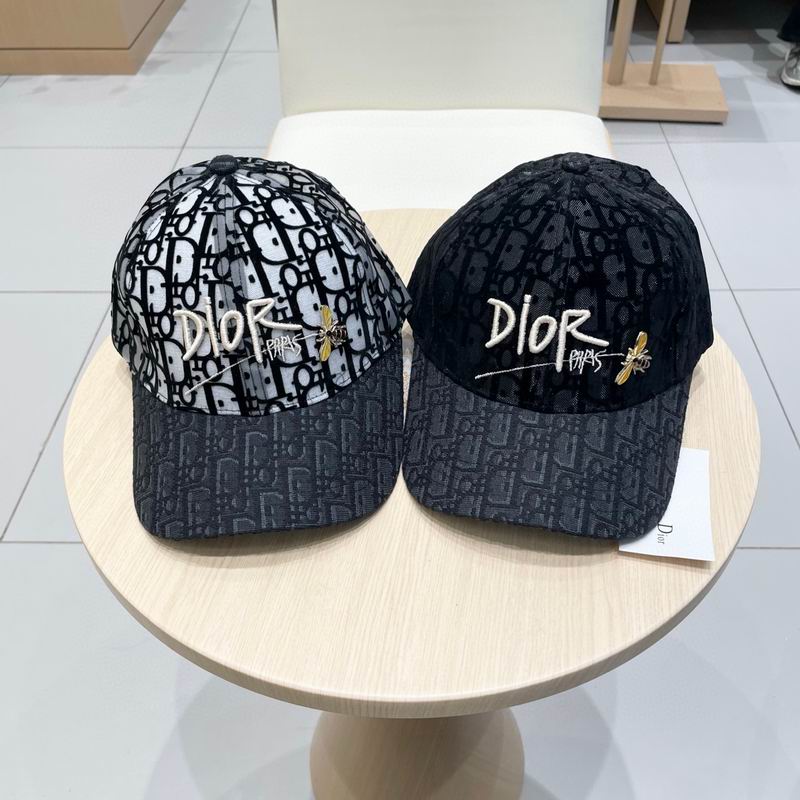 Dior cap (23)