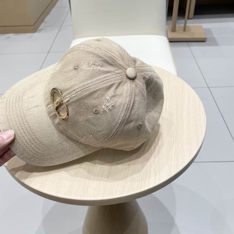 Dior cap (4)