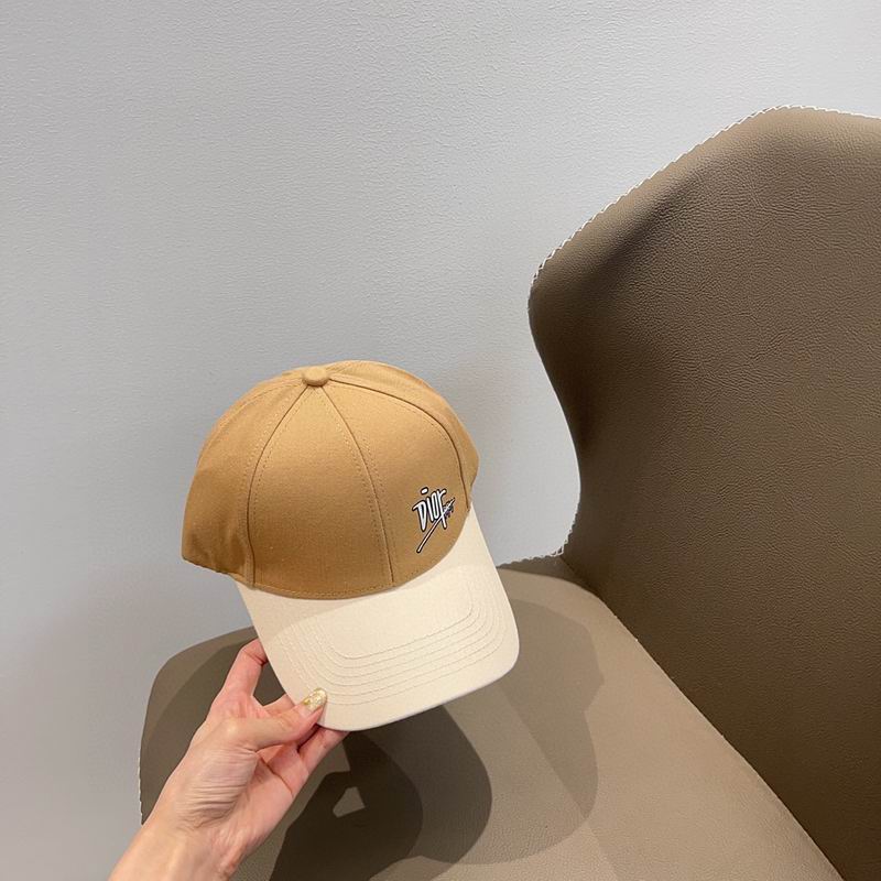Dior cap (50)