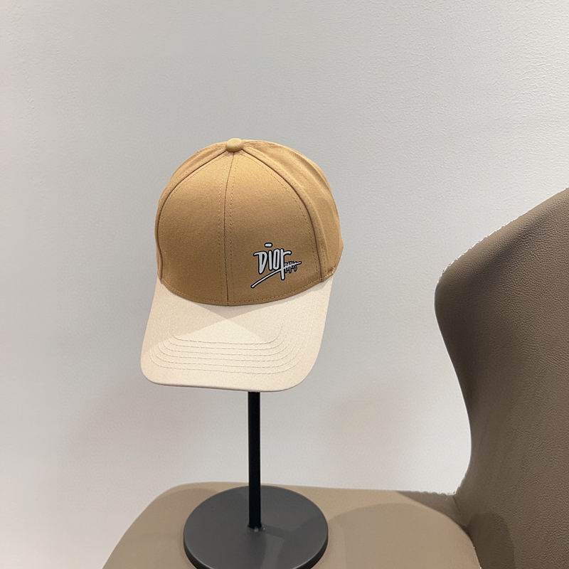 Dior cap (54)