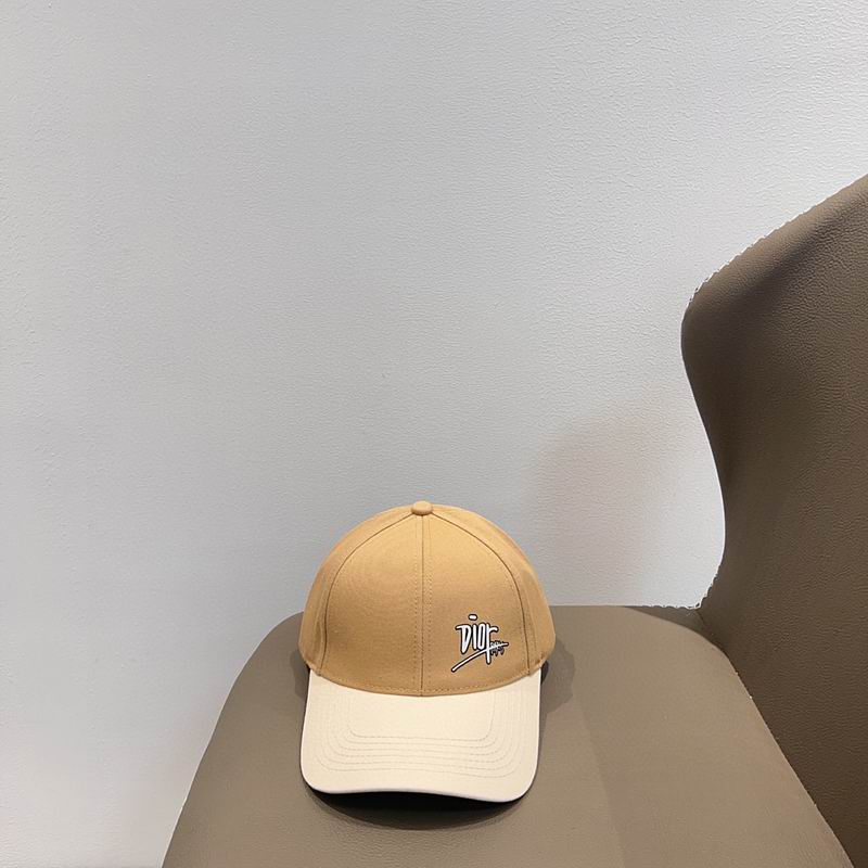 Dior cap (57)