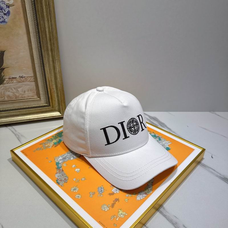 Dior cap (61)