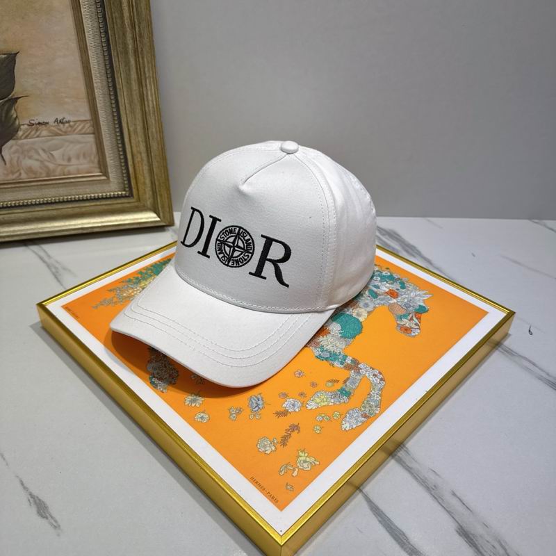 Dior cap (62)
