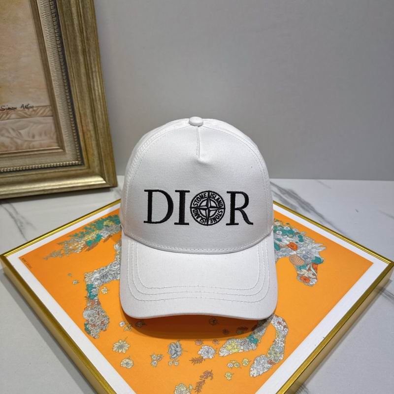 Dior cap (63)