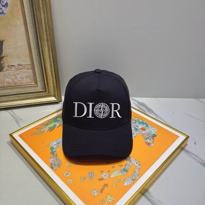 Dior cap (72)